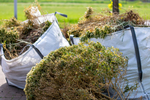 Attic Cleanout Services in Ripley, TN